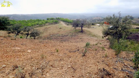 Terreno Agricola ou Rústico para Venda em Castro Marim