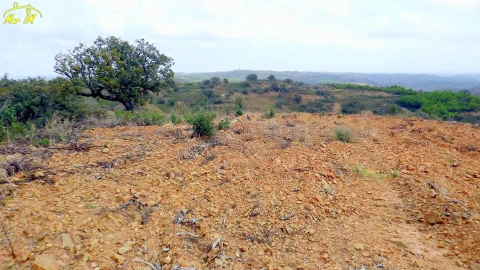 Terreno Agricola ou Rústico para Venda em Castro Marim