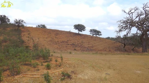 Terreno Agricola ou Rústico para Venda em Castro Marim