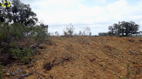 Terreno Agricola ou Rústico para Venda em Castro Marim