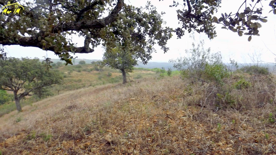 Terreno Agricola ou Rústico para Venda em Castro Marim Foto 17