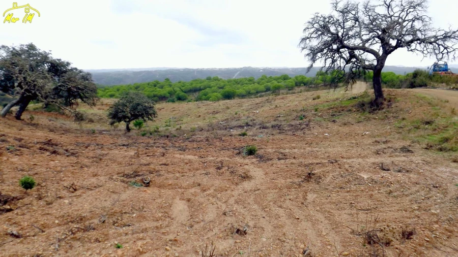 Terreno Agricola ou Rústico para Venda em Castro Marim Foto 19