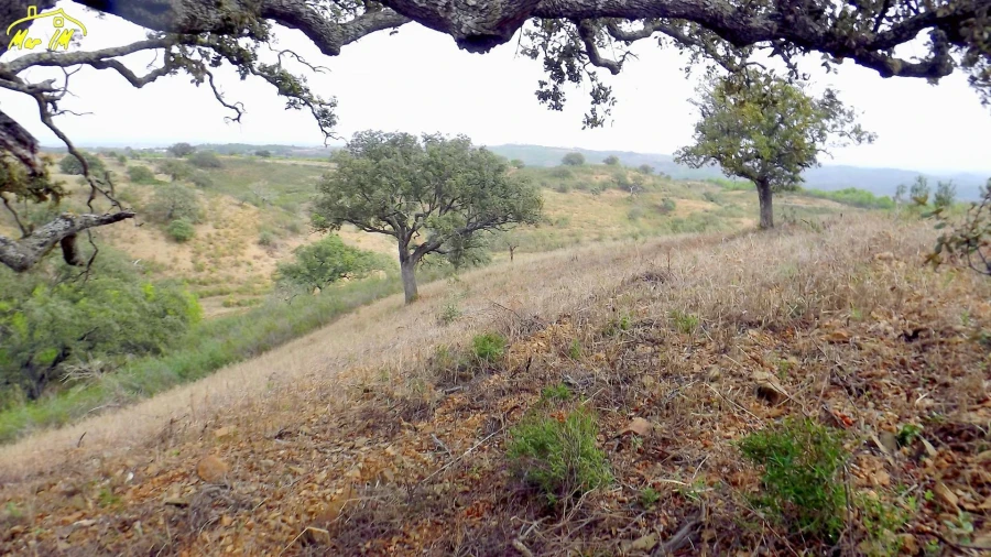 Terreno Agricola ou Rústico para Venda em Castro Marim Foto 21