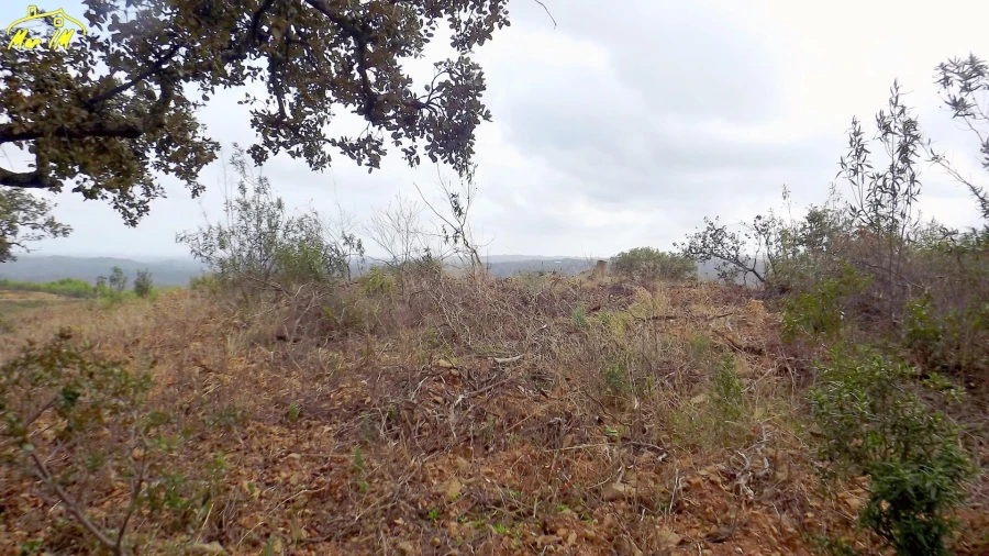 Terreno Agricola ou Rústico para Venda em Castro Marim Foto 23