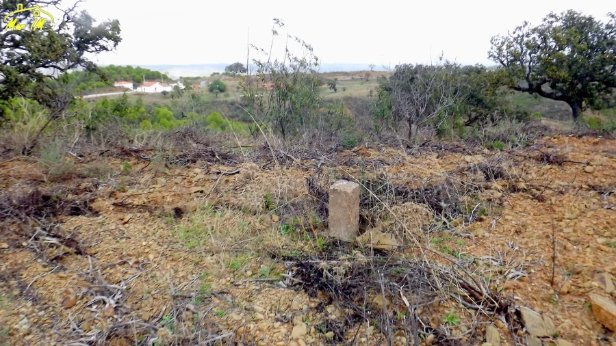 Terreno Agricola ou Rústico para Venda em Castro Marim Foto 4