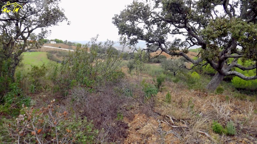 Terreno Agricola ou Rústico para Venda em Castro Marim Foto 6