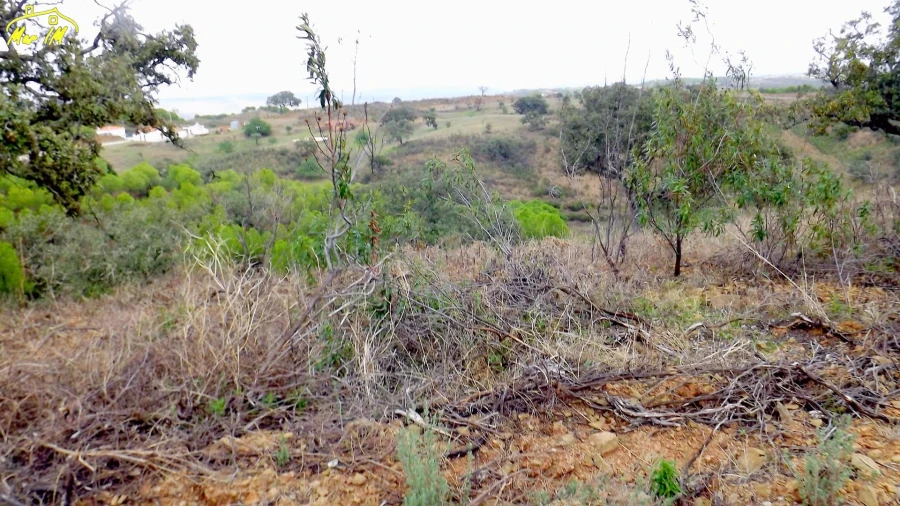Terreno Agricola ou Rústico para Venda em Castro Marim Foto 7