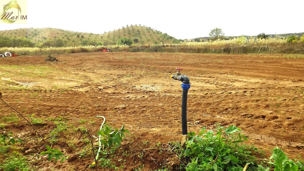 Terreno Agricola ou Rústico para Venda em Castro Marim Foto 1