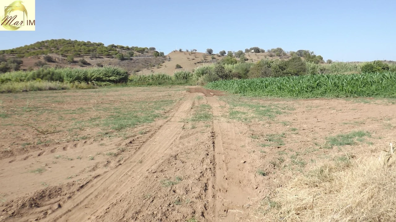 Terreno Agricola ou Rústico para Venda em Castro Marim Foto 10