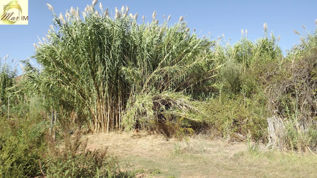 Terreno Agricola ou Rústico para Venda em Castro Marim Foto 11