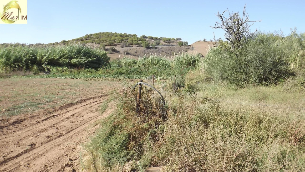 Terreno Agricola ou Rústico para Venda em Castro Marim Foto 12