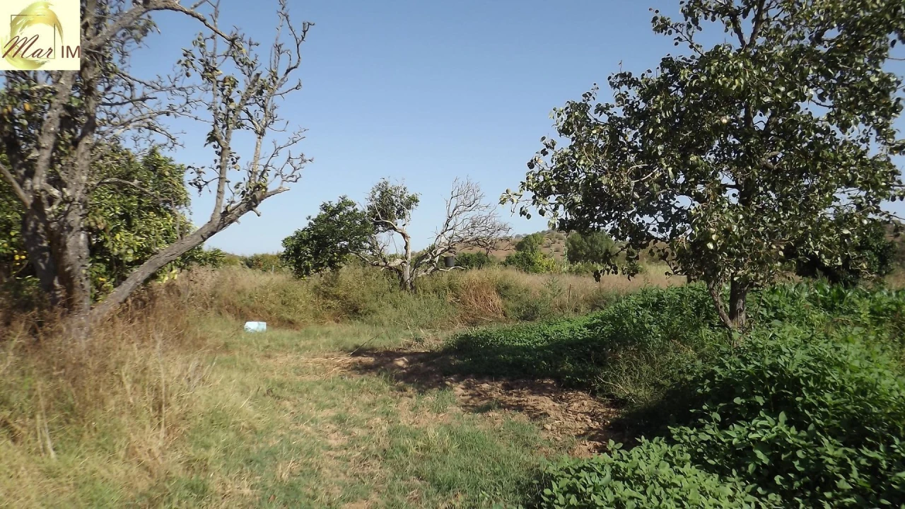 Terreno Agricola ou Rústico para Venda em Castro Marim Foto 13