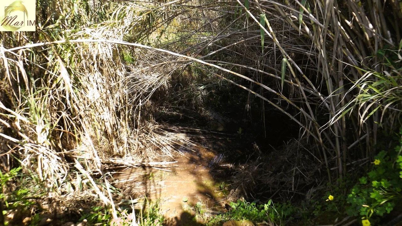 Terreno Agricola ou Rústico para Venda em Castro Marim Foto 14