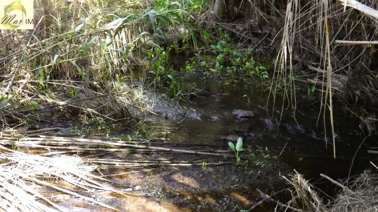 Terreno Agricola ou Rústico para Venda em Castro Marim Foto 16
