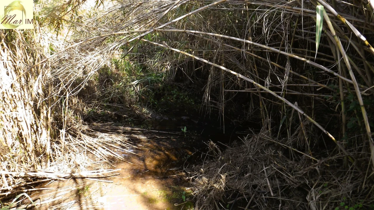 Terreno Agricola ou Rústico para Venda em Castro Marim Foto 17