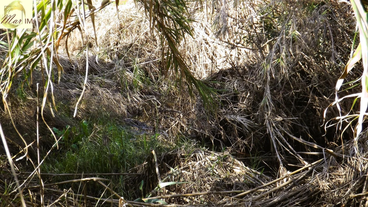 Terreno Agricola ou Rústico para Venda em Castro Marim Foto 18