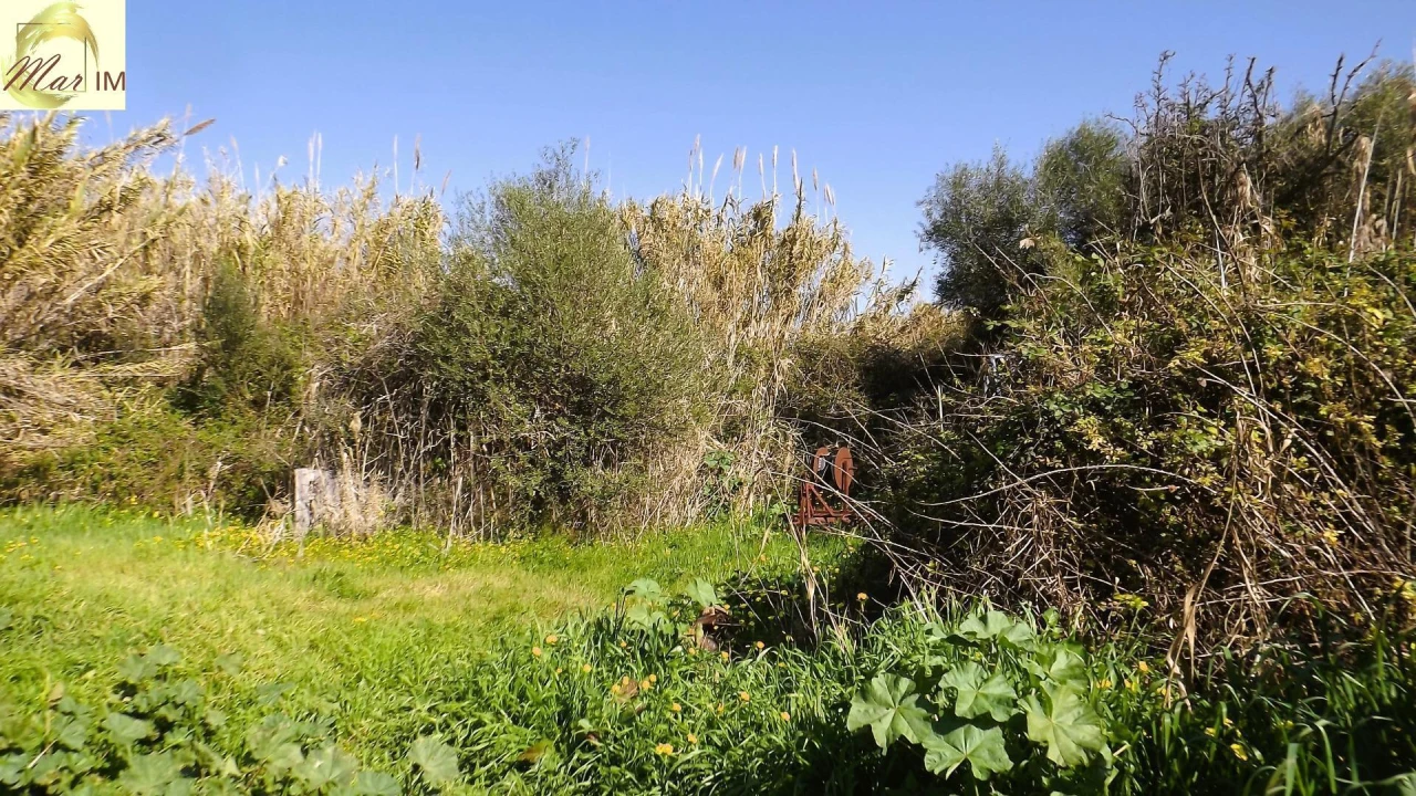 Terreno Agricola ou Rústico para Venda em Castro Marim Foto 21