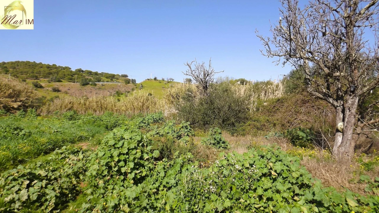 Terreno Agricola ou Rústico para Venda em Castro Marim Foto 22