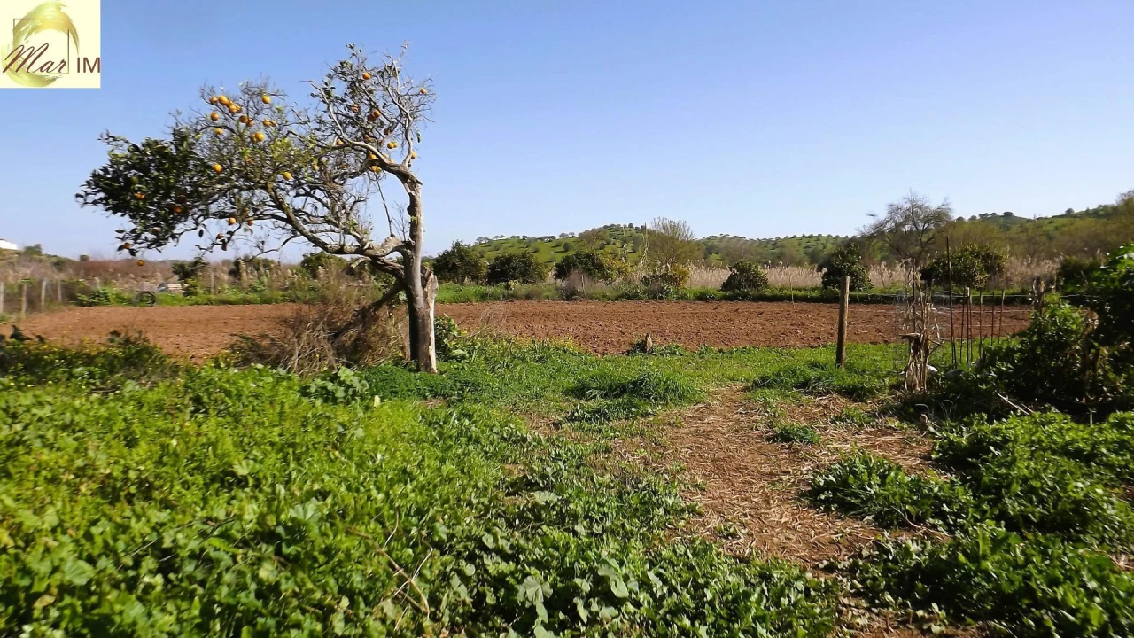 Terreno Agricola ou Rústico para Venda em Castro Marim Foto 23