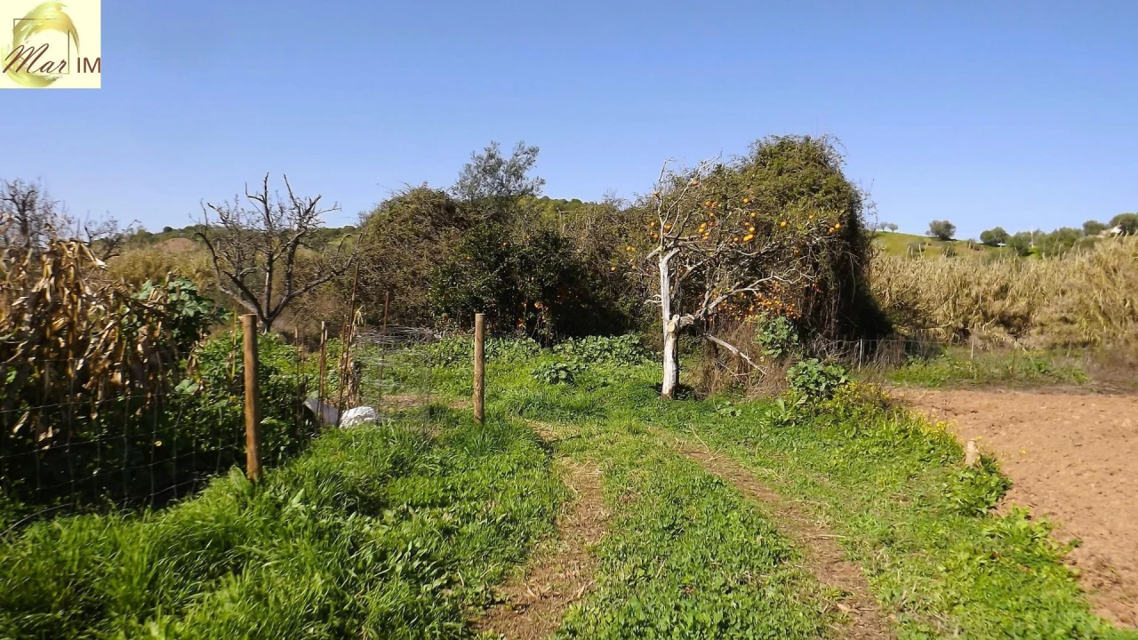 Terreno Agricola ou Rústico para Venda em Castro Marim Foto 27