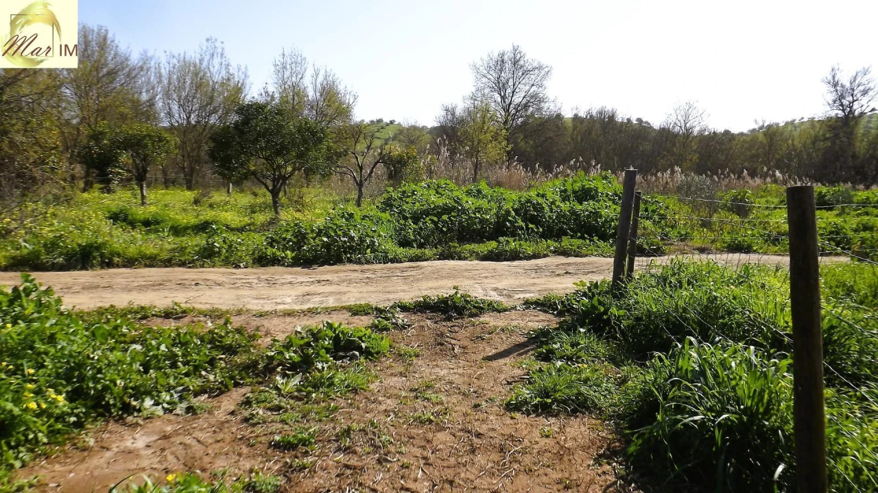 Terreno Agricola ou Rústico para Venda em Castro Marim Foto 31