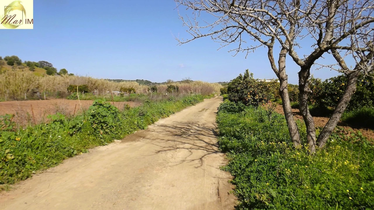 Terreno Agricola ou Rústico para Venda em Castro Marim Foto 34