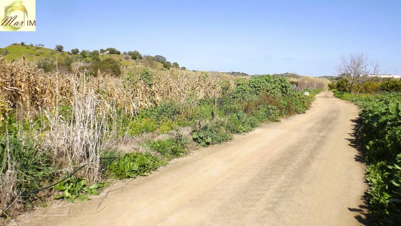 Terreno Agricola ou Rústico para Venda em Castro Marim Foto 40