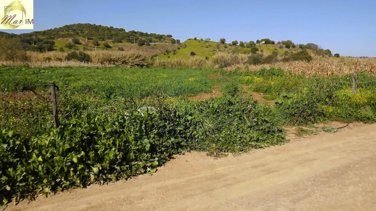 Terreno Agricola ou Rústico para Venda em Castro Marim Foto 41
