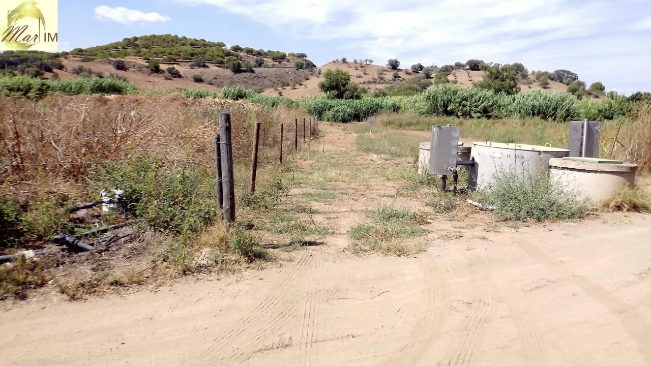 Terreno Agricola ou Rústico para Venda em Castro Marim Foto 46