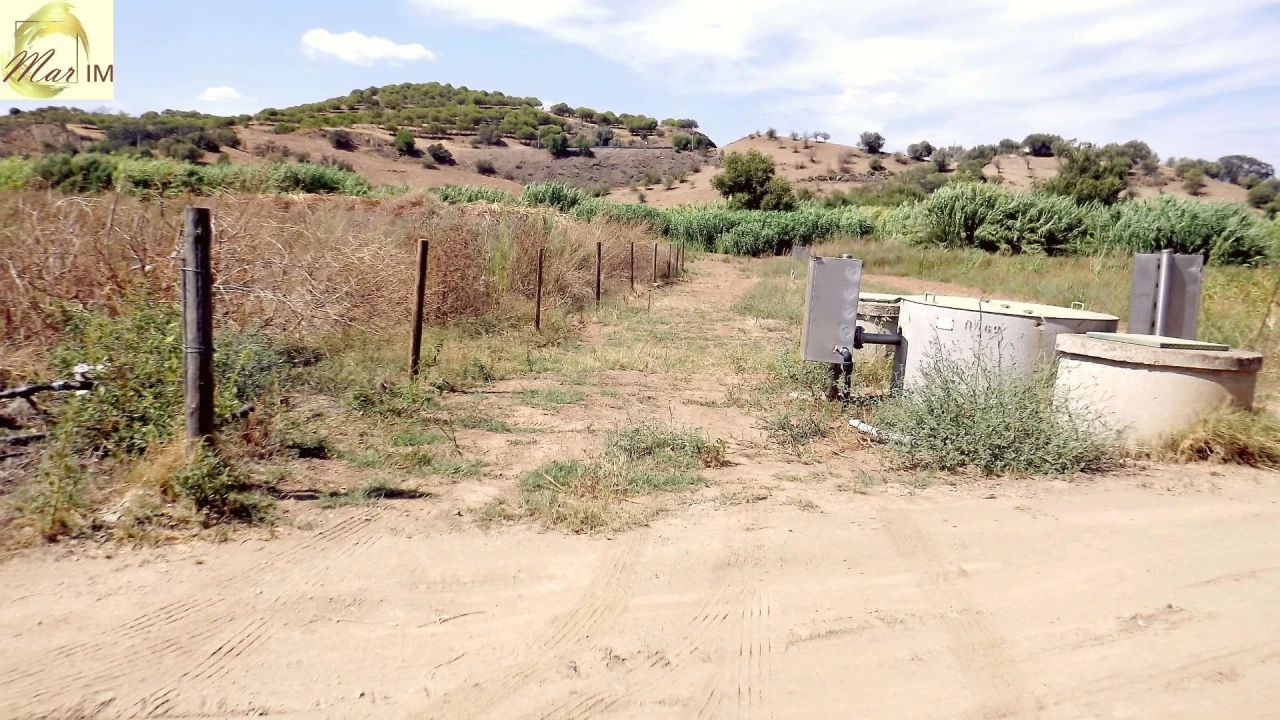 Terreno Agricola ou Rústico para Venda em Castro Marim Foto 48