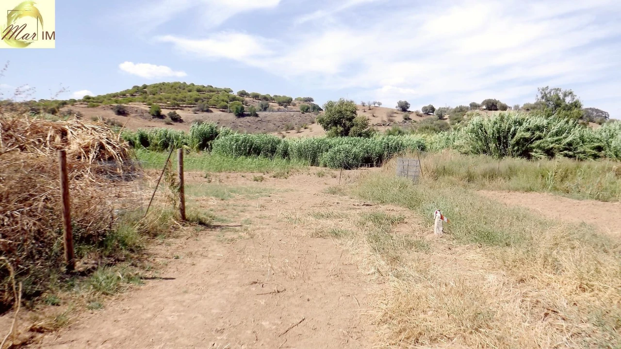 Terreno Agricola ou Rústico para Venda em Castro Marim Foto 49