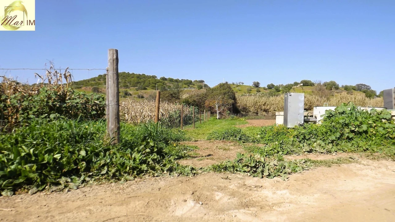 Terreno Agricola ou Rústico para Venda em Castro Marim Foto 5