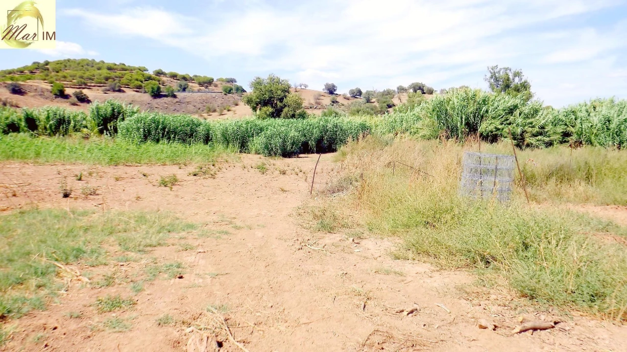 Terreno Agricola ou Rústico para Venda em Castro Marim Foto 50