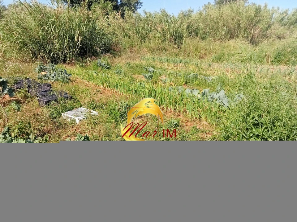 Terreno Agricola ou Rústico para Venda em Castro Marim Foto 29