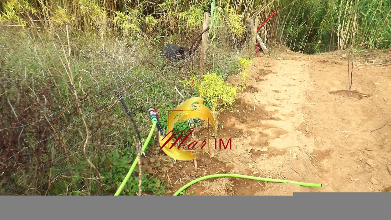 Terreno Agricola ou Rústico para Venda em Castro Marim Foto 50