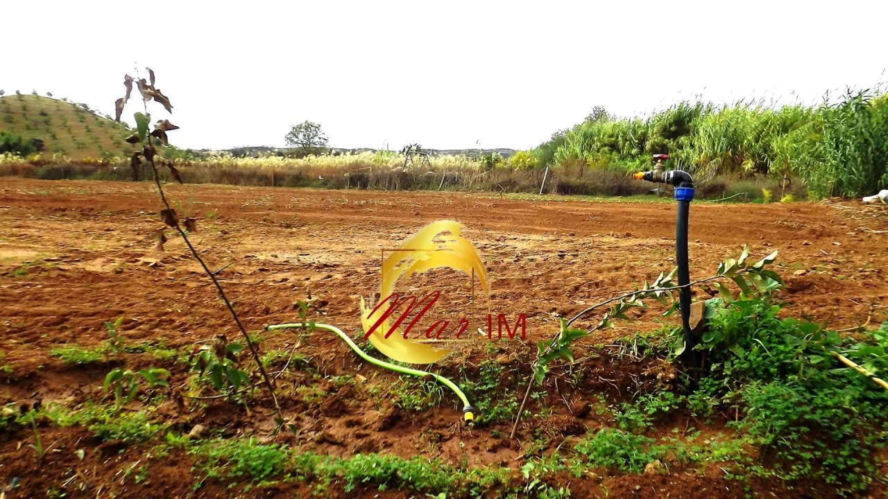 Terreno Agricola ou Rústico para Venda em Castro Marim Foto 1