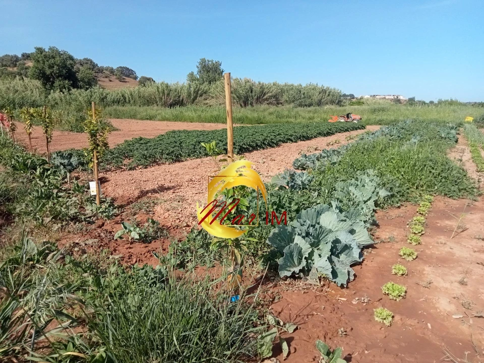 Terreno Agricola ou Rústico para Venda em Castro Marim Foto 16