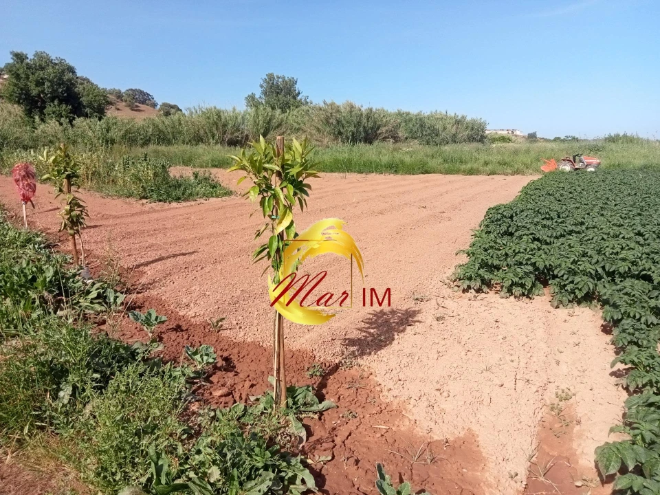 Terreno Agricola ou Rústico para Venda em Castro Marim Foto 22