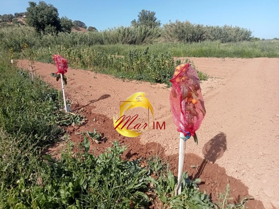 Terreno Agricola ou Rústico para Venda em Castro Marim Foto 23