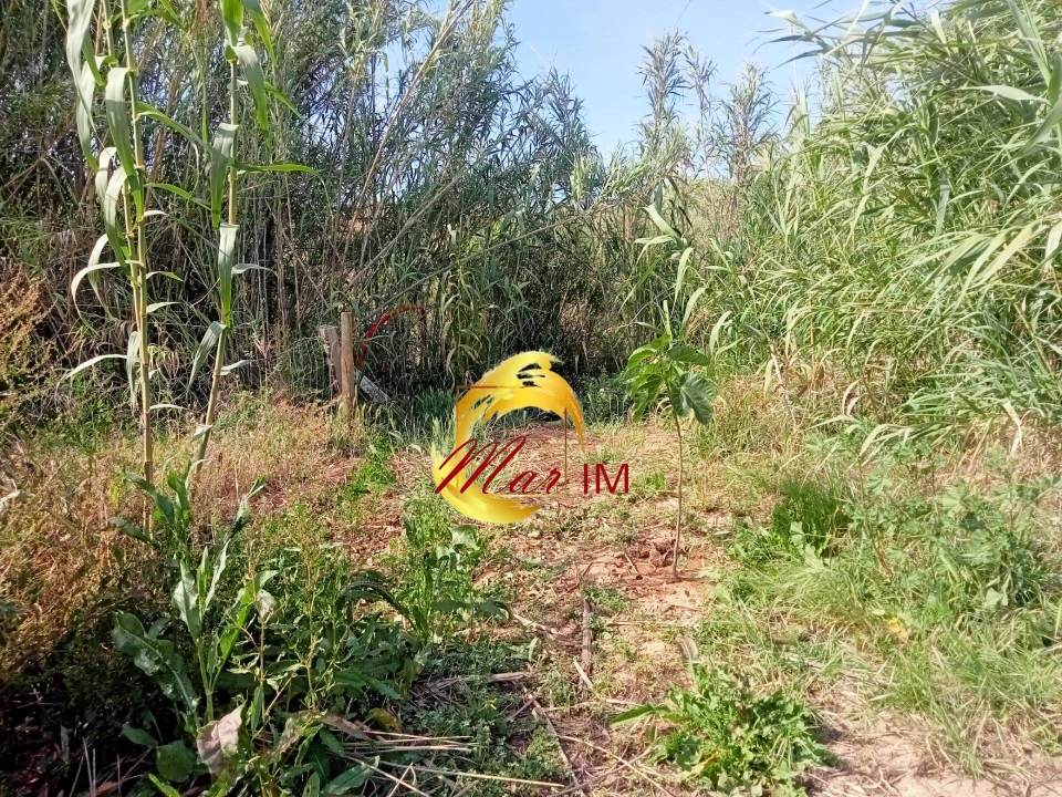 Terreno Agricola ou Rústico para Venda em Castro Marim Foto 31