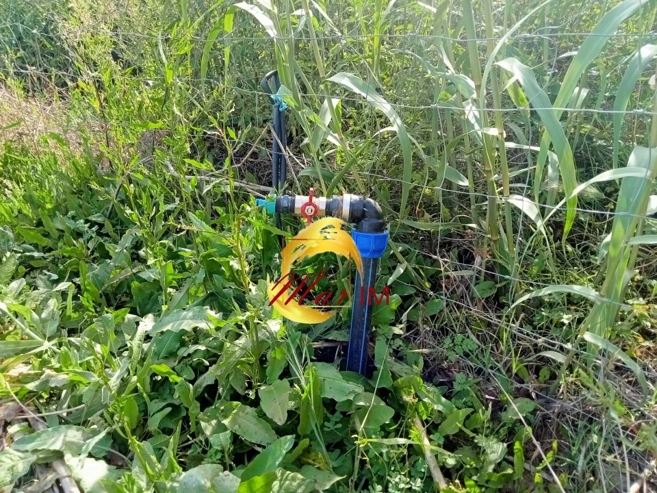 Terreno Agricola ou Rústico para Venda em Castro Marim Foto 32