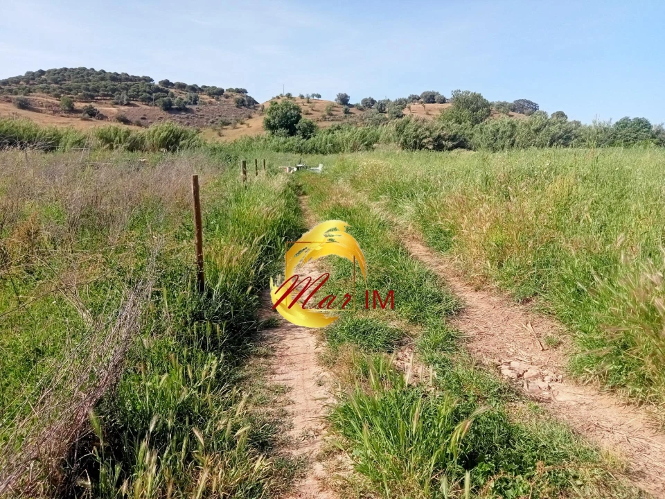 Terreno Agricola ou Rústico para Venda em Castro Marim Foto 35