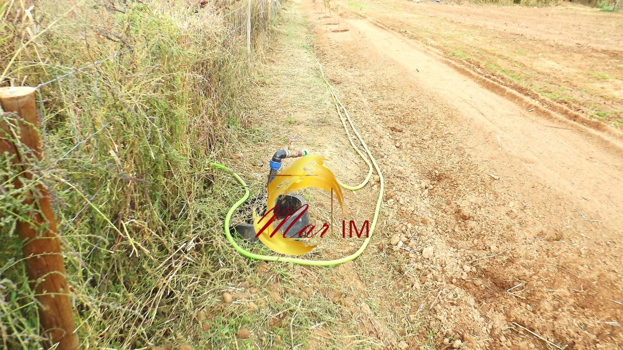 Terreno Agricola ou Rústico para Venda em Castro Marim Foto 47