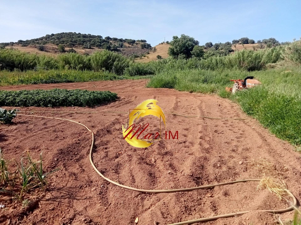Terreno Agricola ou Rústico para Venda em Castro Marim Foto 9