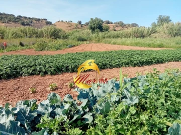 Terreno Agricola ou Rústico para Venda em Castro Marim