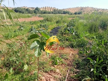 Terreno Agricola ou Rústico para Venda em Castro Marim