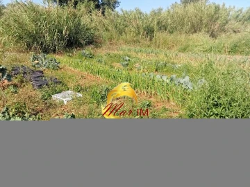 Terreno Agricola ou Rústico para Venda em Castro Marim