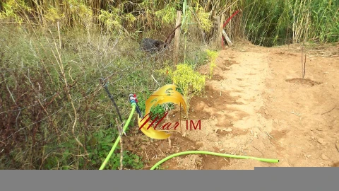 Terreno Agricola ou Rústico para Venda em Castro Marim