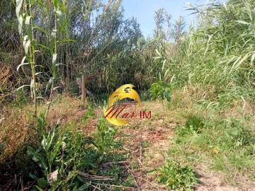 Terreno Agricola ou Rústico para Venda em Castro Marim