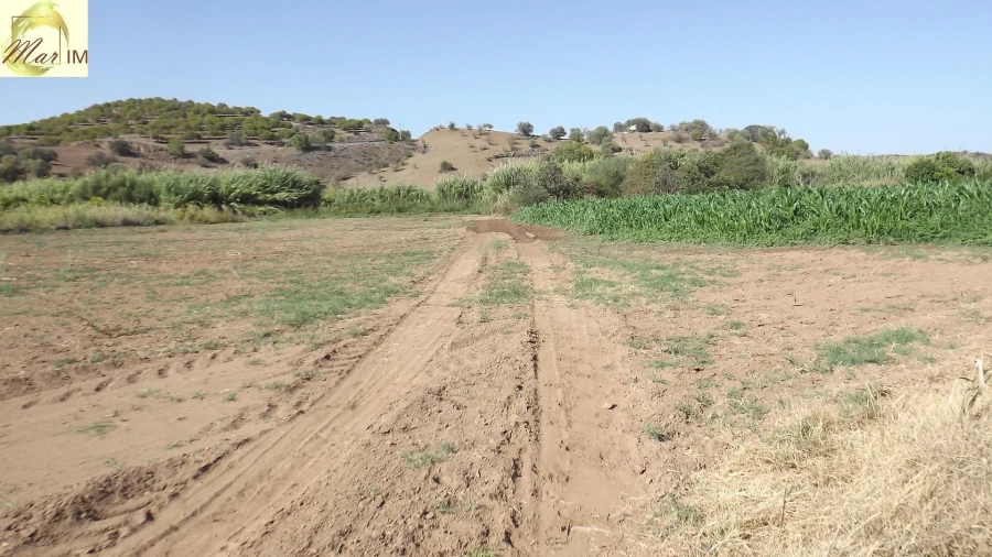 Terreno Agricola ou Rústico para Venda em Castro Marim Foto 10